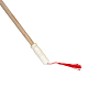 photo-2990989