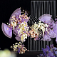 photo-2985768